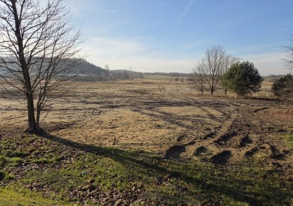 działka na sprzedaż - Poczesna