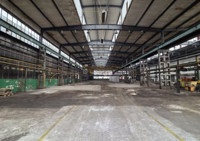 hala na wynajem - Sosnowiec